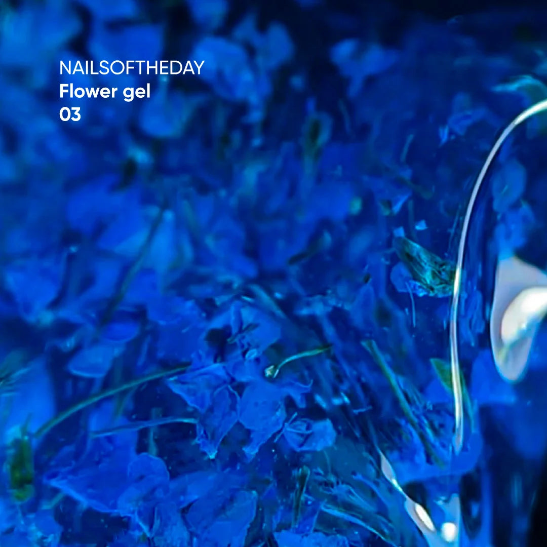 NAILSOFTHEDAY Aufbaugel Flower 03 - blau mit Trockenblumen 15ml