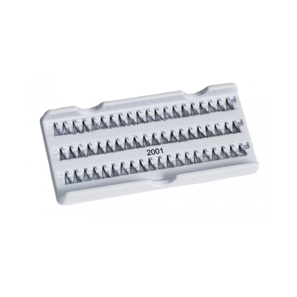 Eyelash Extensions Beam (60 beams, 2001)