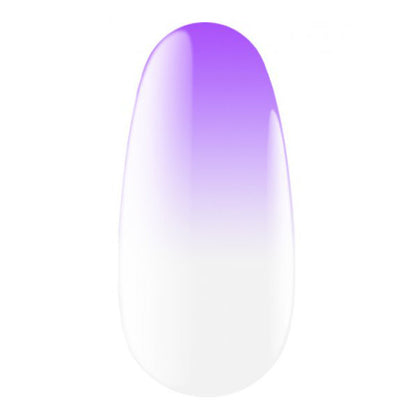 Экспресс-спрей для омбре Express Ombre Spray 17, 5 г