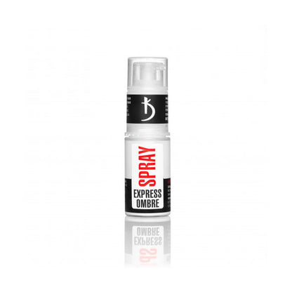 Экспресс-спрей для омбре Express Ombre Spray 19, 5 г