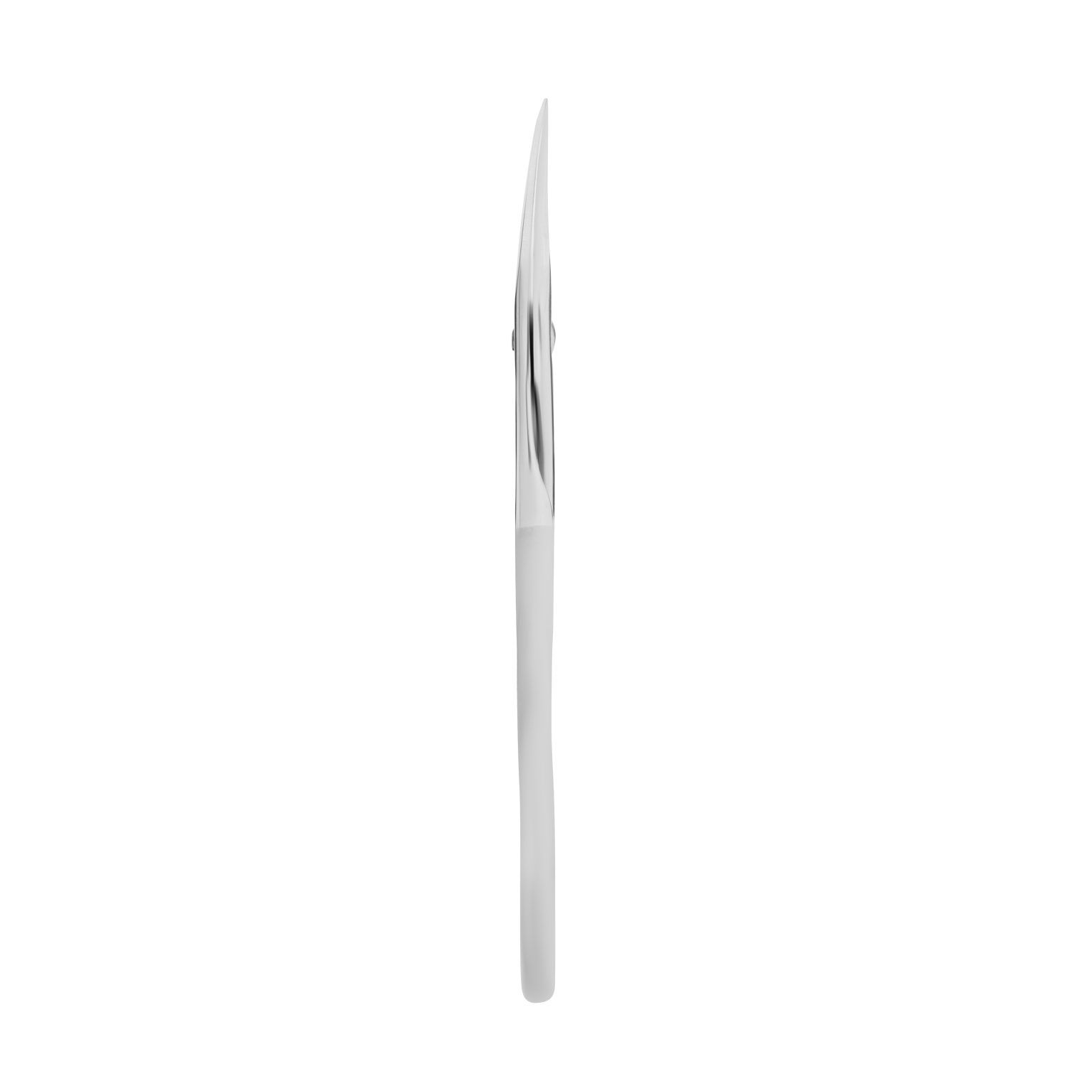 Matte Oberfläche der Staleks Beauty & Care 10 Typ 3 Schere