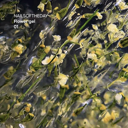 NAILSOFTHEDAY Aufbaugel Flower 01 - Transparent mit Trockenblumen 15ml